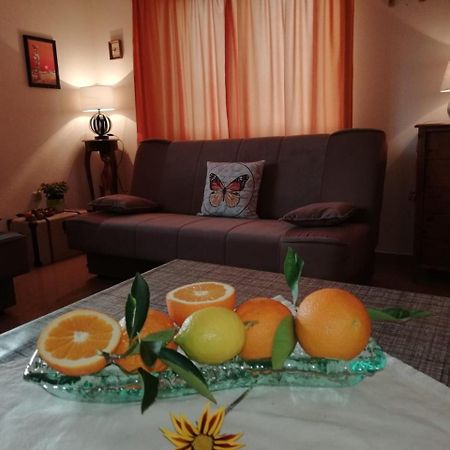 Apartment Marina Slatine Dış mekan fotoğraf